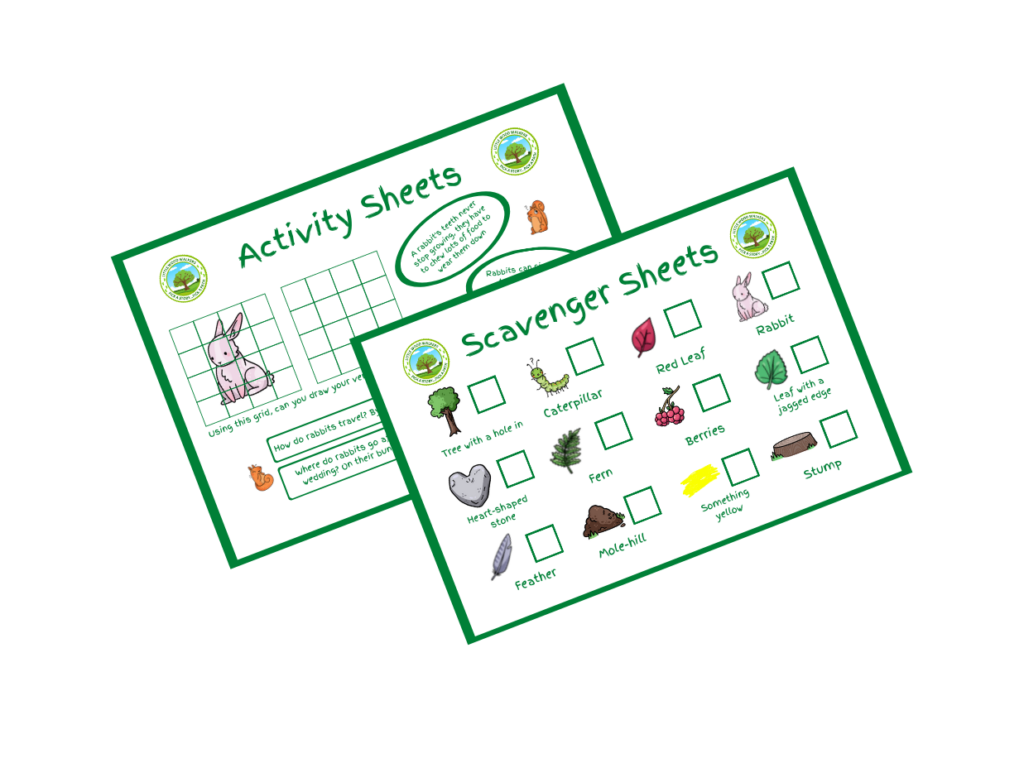 5 Pack Activity Sheet / Scavenger Printable Download