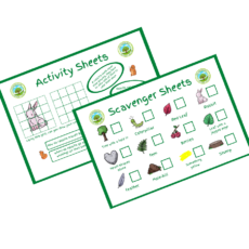 5 Pack Activity Sheet / Scavenger Printable Download